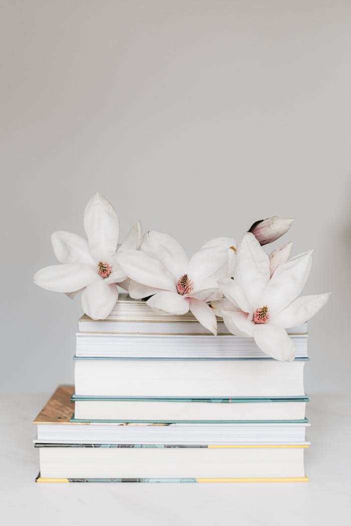 Elegant stack of books adorned with white magnolia flowers, creating a serene and minimalist aesthetic.